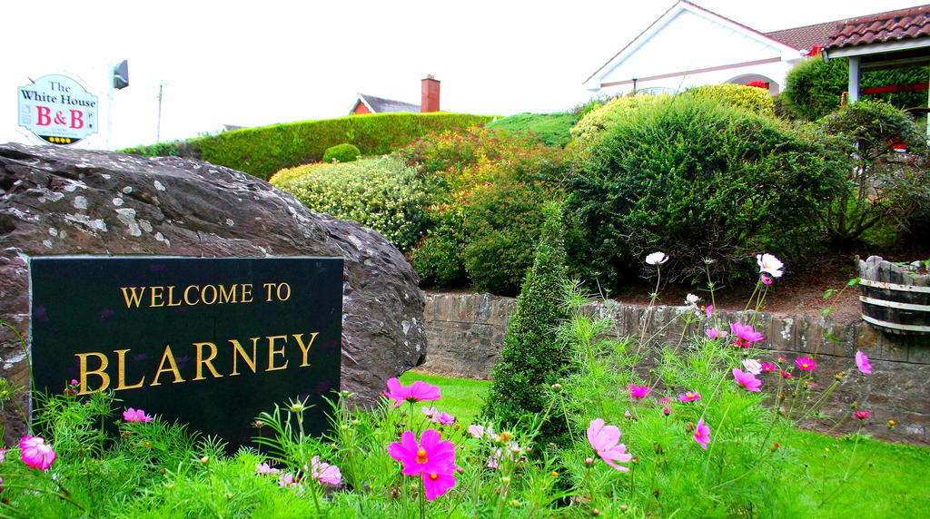 The White House B&B Cork Exteriér fotografie